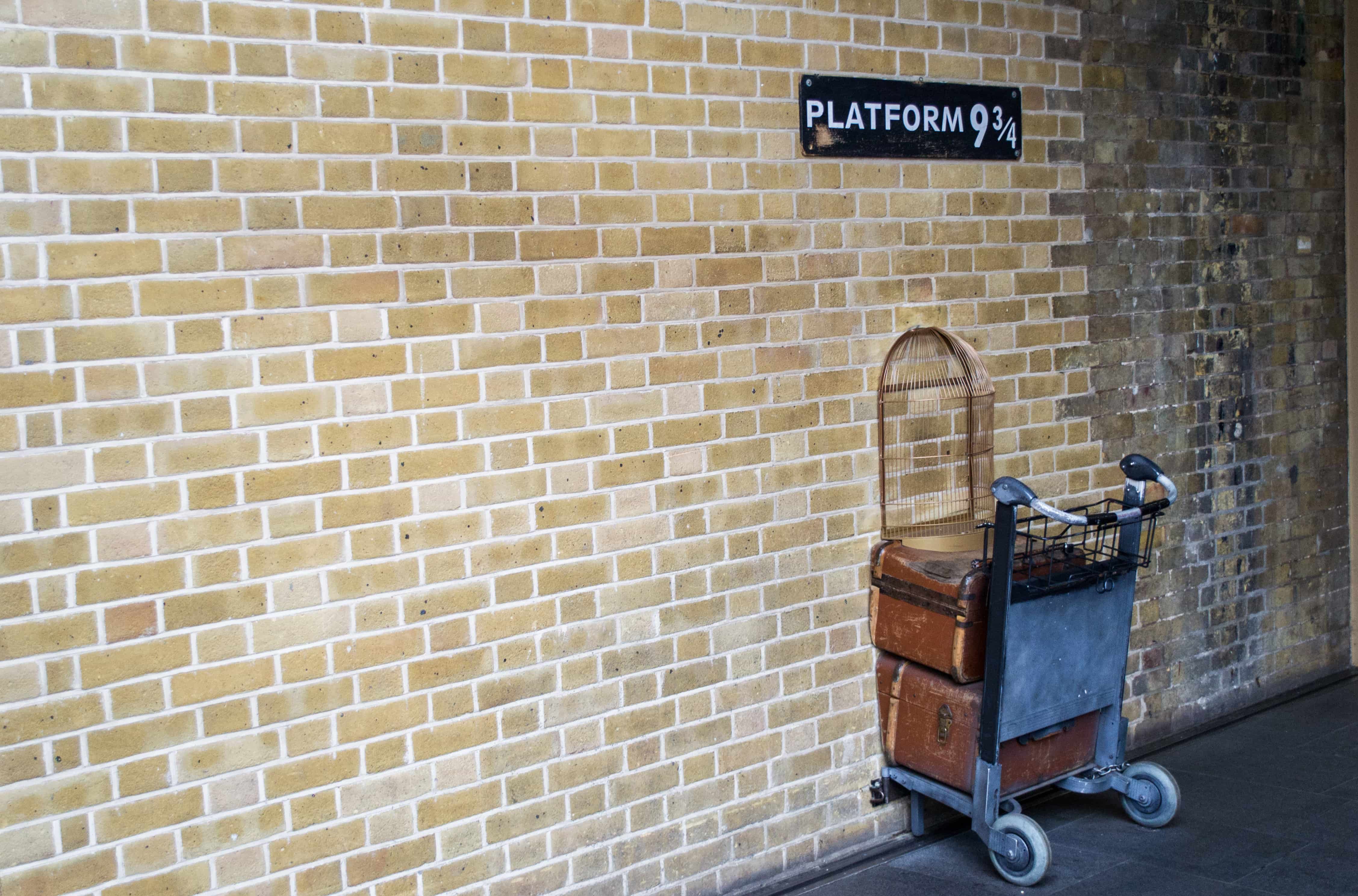 Top 10 Unusual Courses You Can Study in UK | Cool Courses